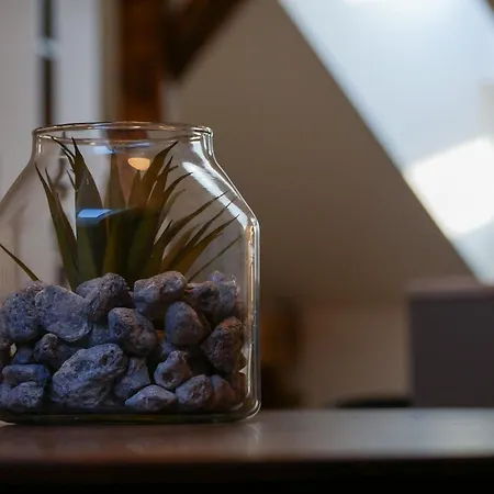 Διαμέρισμα Laurinska 1 *