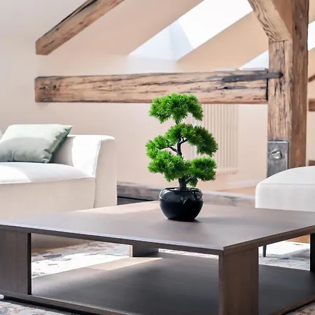 Laurinska 1 Apartman