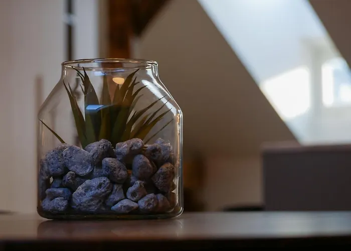 Apartment Laurinska 1 *